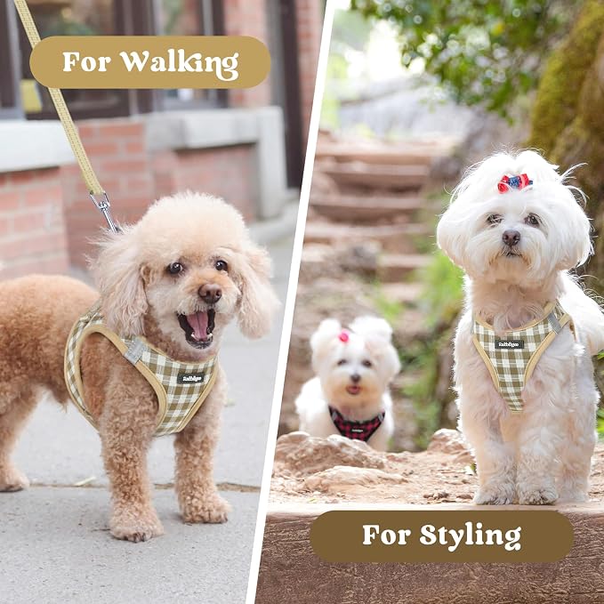 rabbitgoo Step-in Small Dog Harness, Puppy Vest for Small Sized Pet | Easy Put on and off, Lightweight, Soft, Breathable Quick-Dry Air Mesh for Comfortable Secure Walking, Beige Check S - Image 9