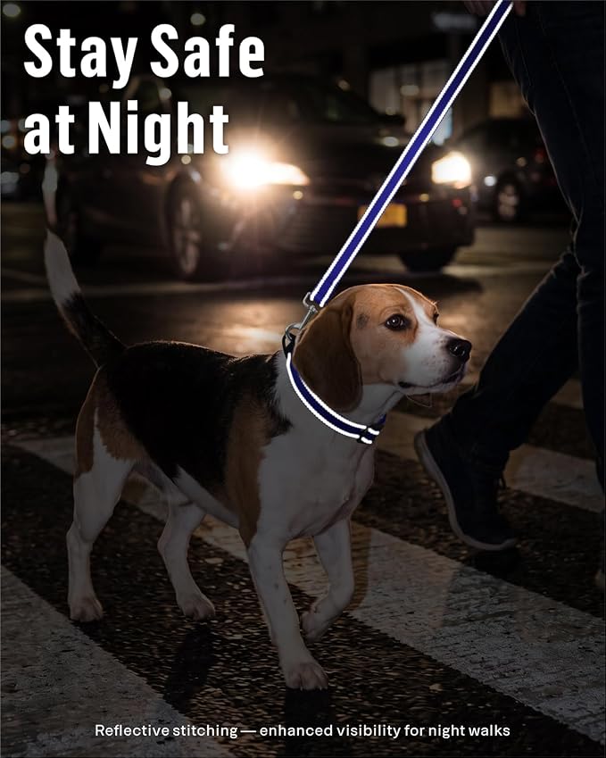 FunTags Reflective Nylon Dog Leash for Small & Medium Dogs, 4FT Training | Comfortable Padded Grip, Stay Safe at Night, 360° Anti-Tangle Swivel, for Dog Parks & Trails, Royal Blue - Image 3