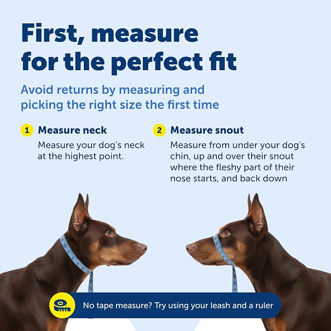 PetSafe Gentle Leader No Pull Dog Headcollar, Red, Medium | Veterinary Behaviorist-Designed No-Pull Headcollar Redirects Pulling Instinct, Padded Neoprene Nose Loop, Quick-Snap Fit - Image 6