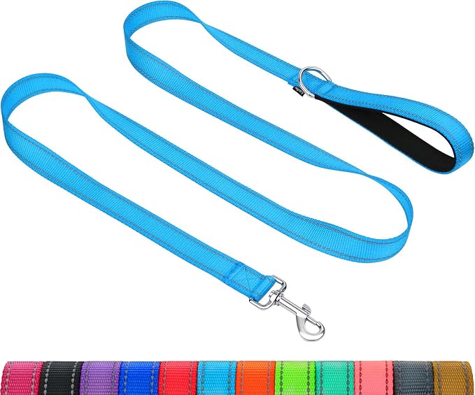 Taglory Reflective Dog Leash for Medium Large Dogs, 1in x 5ft, Sky Blue | Ideal for Night Walking, Strong for Sudden Pulls, Lightweight & Gentle on the Neck, Soft Padded Handle by Taglory