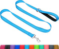 Taglory Reflective Dog Leash for Medium Large Dogs, 1in x 5ft, Sky Blue | Ideal for Night Walking, Strong for Sudden Pulls, Lightweight & Gentle on the Neck, Soft Padded Handle by Taglory
