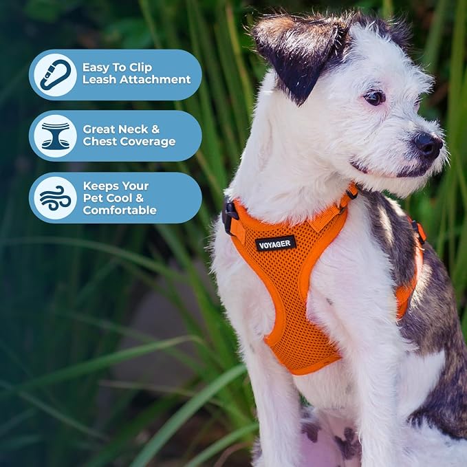 Voyager Step-in Lock Dog Harness - Orange, X-Small | 13 - 16" in Chest, Adjustable, Breathable Air Mesh, Lightweight for Daily Walks, Strong Clips, Heavy Duty D-Ring - Image 3