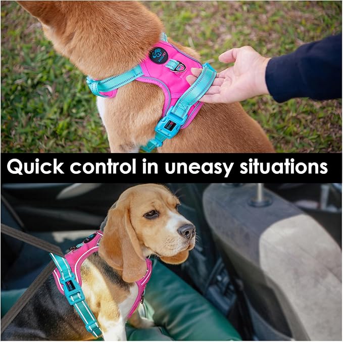 No Pull Dog Harness, Unique Colors Reflective Adjustable Dog Vest | with Soft Training Handle Metal Clips for Small Medium Large Dogs (Pink Base & Green Straps,L) - Image 5