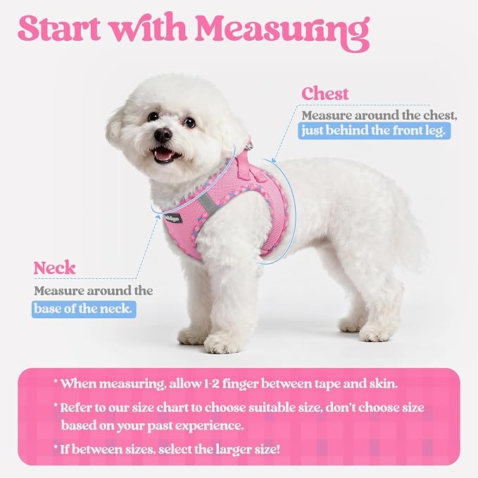 rabbitgoo Dog Harness Small Sized and Leash Set, Step-in Puppy Pet Vest | Light, Soft, Breathable Air Mesh, Easy on and Remove with Hook & Loop, Secure Reflective for Walking, Pink & Plaid Trim M - Image 2