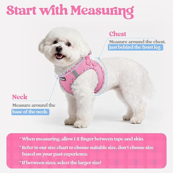 rabbitgoo Dog Harness Small Sized and Leash Set, Step-in Puppy Pet Vest | Light, Soft, Breathable Air Mesh, Easy on and Remove with Hook & Loop, Secure Reflective for Walking, Pink & Plaid Trim XS - Image 2