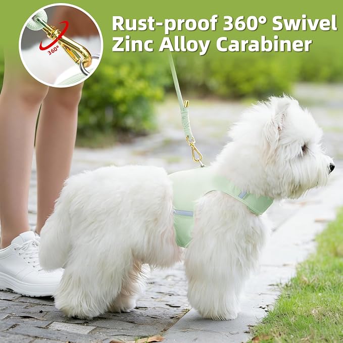 5FT Dog Leash 5/16 inch Puppy Cat Rope Lead | Light Green, with Anti-tangle Swivel Clip, Comfortable Non-slip Grip Handle, Ideal for Daily Walks, for Small Medium Dogs - Image 6