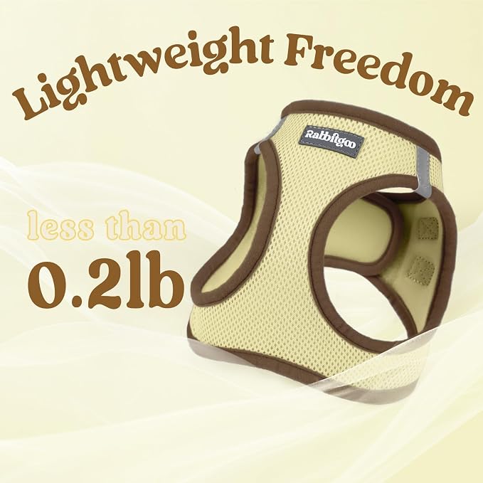 rabbitgoo Dog Harness Small Sized and Leash Set, Step in Soft Vest | Breathable Mesh, Easy Wear with Hook & Loop, Light and Reflective for Walking, Multi-colored, Beige & Coffee, XXS - Image 7