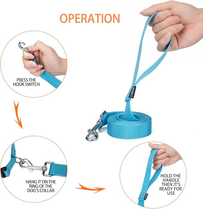 Strong Durable Nylon Dog Training Leash, 1 Inch Wide Traction Rope, 6 ft Long, for Small and Medium Dog (Mint Blue, 6 Feet) - Image 3