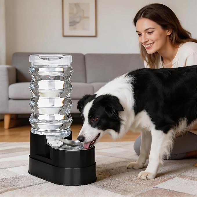 RIZZARI 9L Elevated Dog Water Dispenser: Filtered Gravity Waterer | Stainless Steel Bowl /Gravity Fed/No Power Needed/ Anti-Spill Base/Senior Dogs & Large Breeds/Indoor/Outdoor - Image 7