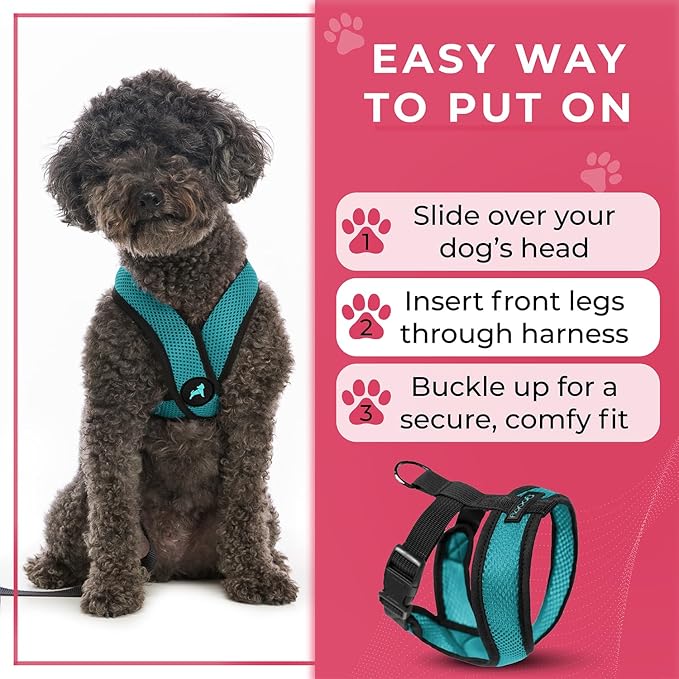 Gooby Comfort X Head-in Dog Harness, Choke-Free, Turquoise, Small | Patented choke-free X-frame; Secure head-in fit; Lightweight breathable mesh; Back metal D-ring; Machine washable - Image 6