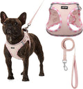 AMTOR Small Dog Harness with Leash Set, No Escape Easy Walk Puppy Harnesses for Training Walking, Step-in Reflective Soft Dogs Vest for XS S Medium Extra-Small Large Sized Dog(Pink,XL) by AMTOR