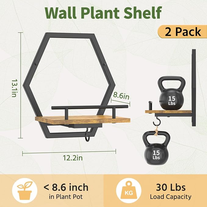 LASZOLA Plant Picture Frame Holder Shelf Wall Window Indoor, 2 Pcs Brown | Modern Floating Flower Hanger Wall Mounted, with Hooks, Metal Planter Hanging Stand Display Decor for Home Bathroom - Image 2