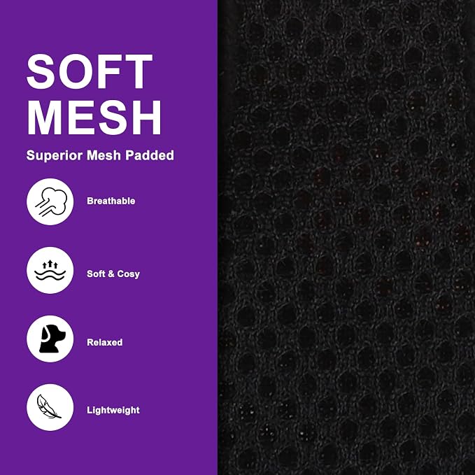 Halloween Puppy Harness - Dog Collar and Leash - Soft Mesh Padded Adjustable Step in Small Dog Vest Harness No Pull, Reflective Escape Proof for Outdoor Walking, Purple S - Image 4