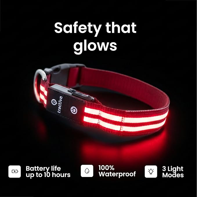 Tractive LED Light Up Dog Collar USB Rechargeable Waterproof (Red) - Image 3