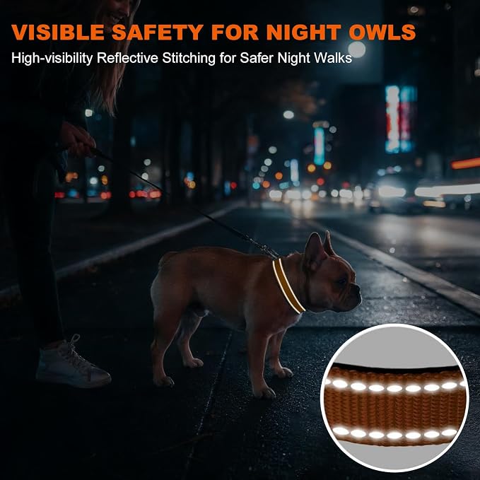 Taglory Reflective Small Dog Collar, Comfortable for Safe Night Walks, Tan | Night-Walk Visibility, Soft Neck Cushioning, Adjustable 10-16 in, Locking Buckle, D-Ring for Leash and ID Tags - Image 5