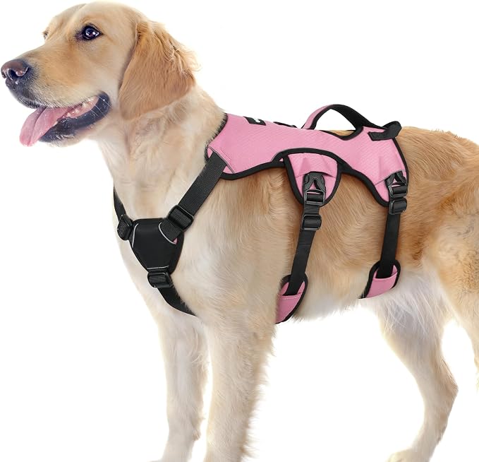 rabbitgoo Escape Proof Dog Harness for Large, No Pull with Lift Handle | No Escape, Full Soft Padded, Reflective Adjustable Vest, Leash Clip for Walking Hiking Training, Pink, Large by rabbitgoo