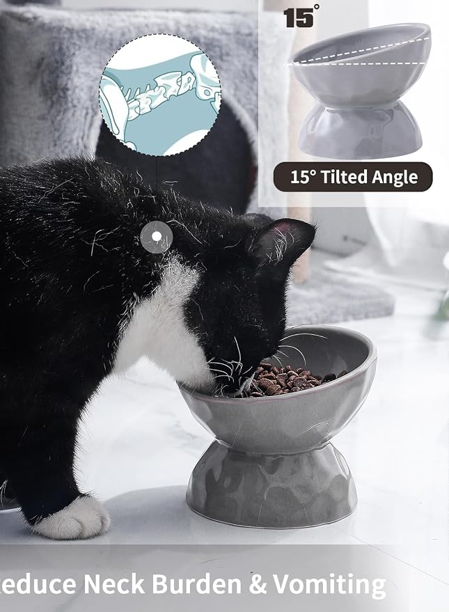5 Inch Grey Tilted Ceramic Raised Cat Bowls Set of 2 | Elevated,Food and Water Pet Bowl, Porcelain,Slanted, for Cats and Small Dogs,Protect Cat's Spine,Dishwasher Safe,Durable - Image 2