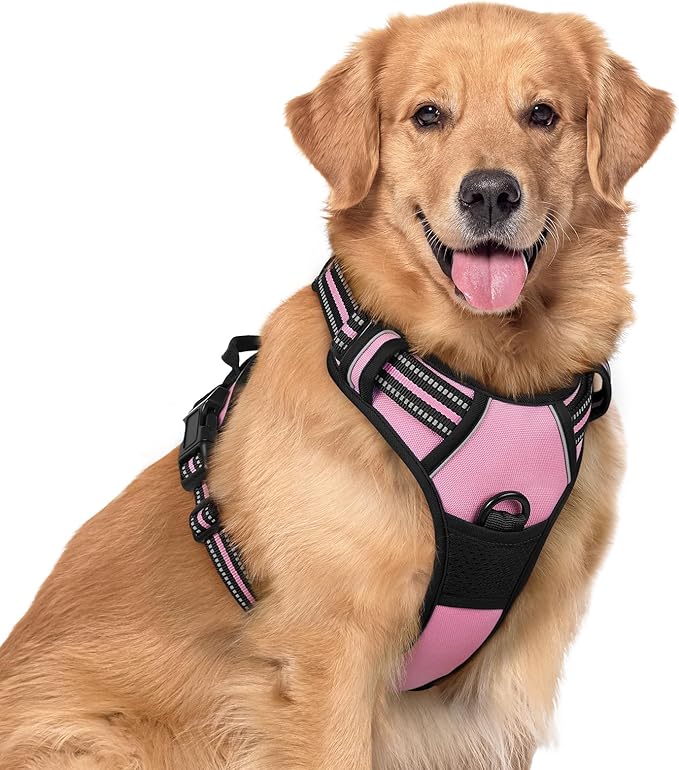 rabbitgoo Dog Harness No Pull with 2 Leash Clips, Adjustable Soft Padded, Reflective Oxford No Choke Pet Vest with Easy Control Handle for Large Dogs, Pink, XL | No Choke with Handle, Adjustable Soft Padded, Reflective, Easy Control for Walking, Pink, ... by rabbitgoo