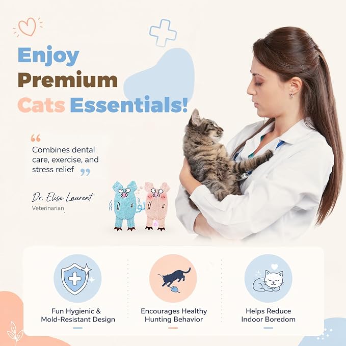Cat Toys for Indoor Cats, 2 PCS 8000mg A+Natural Catnip Silvervine Crinkle | Interactive Cat Toys Pig with Bell Elastic Tail, Baby-Grade Plush Chew Toy Teeth Cleaning, Catnip Cat Kicker Toy for Kitten - Image 8