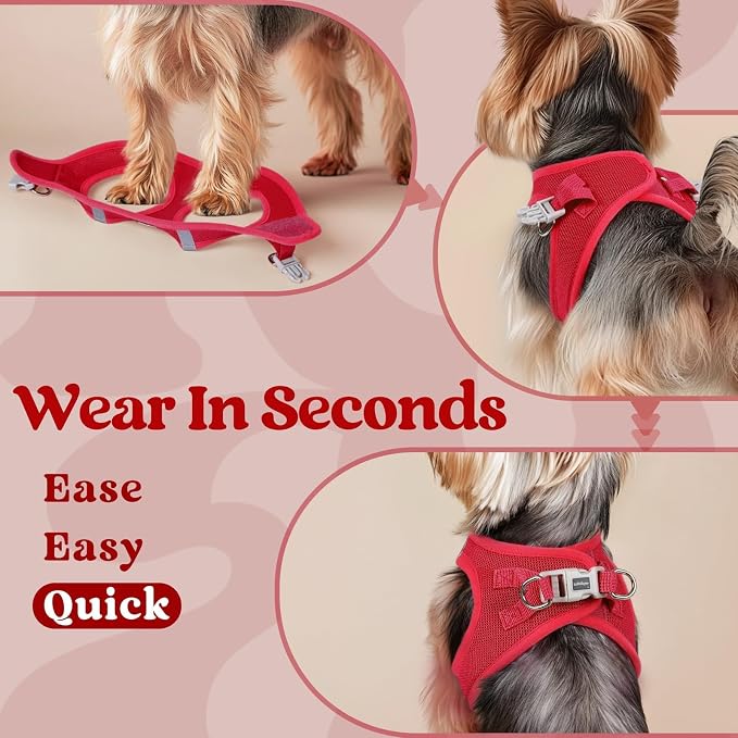 rabbitgoo Step-in Small Dog Harness, Puppy Vest for Small Medium Sized Pet | Easy Put on and off, Lightweight, Soft, Breathable Quick-Dry Air Mesh for Comfortable Secure Walking, Red L - Image 6