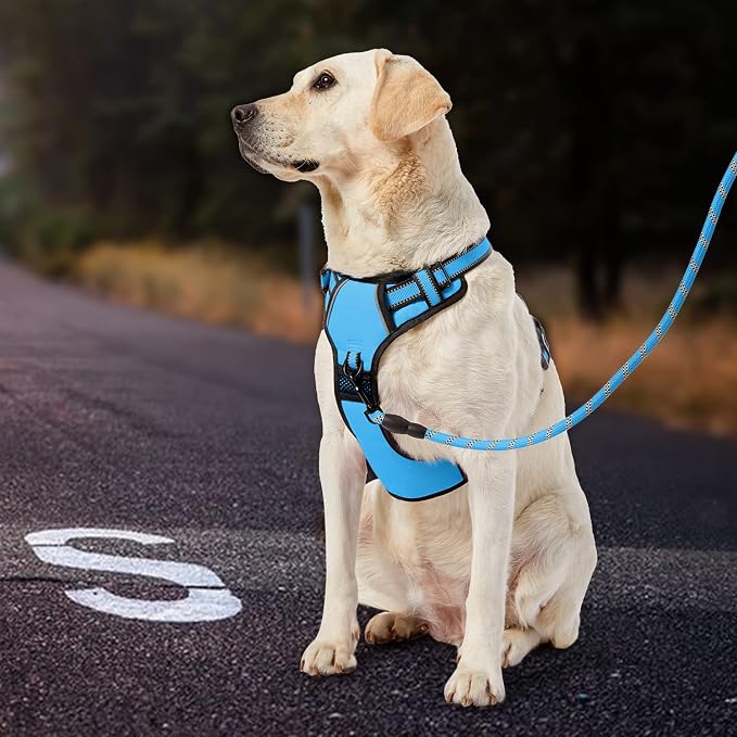 IVY&LANE No Pull Dog Harness for Small Dogs, Dog Vest Harness with Leash, Safety Belt and Storage Strap, Fully Adjustable Harness, 360° Reflective Strip, Soft Handle (Blue, XS) - Image 7