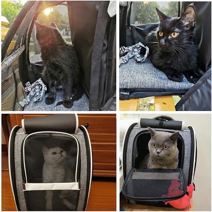 Texsens Innovative Traveler Bubble Backpack Pet Carriers for Cats and Dogs - Image 6