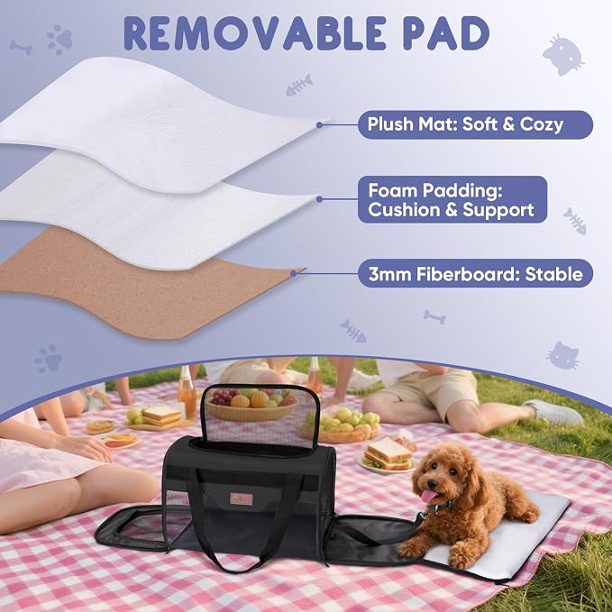 BALEINE Cat Carrier, Puppy Dog Carrier for Small Medium Pets Up to 15 Lbs, Soft-Sided Dog Travel Bag with Safety Zippers, Collapsible Pet Carrying Case (Black, L, 17"x11"x11") - Image 5