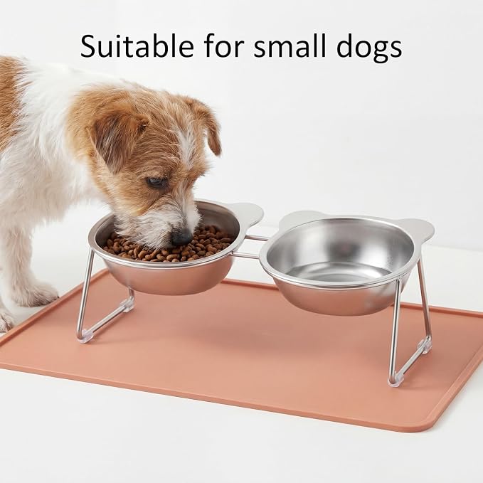 Stainless Elevated cat Bowls 5.9 Inch with Metal Stand Slip Resistant Base 15 Degrees Tilted Raised Pet Dishes Double Bowl Design Food and Water Dish for Cats Kitten Small Dog (Integrated Bowls) - Image 9