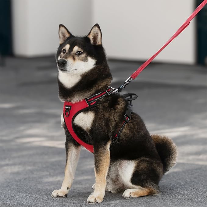 Voyager Dual Attachment No Pull Harness - Red, X-Large | 28 - 37" in Chest, No Pull Dog Harness, Fully Adjustable, 3M Reflective Technology, Front & Back D-Rings, Walking & Training - Image 8