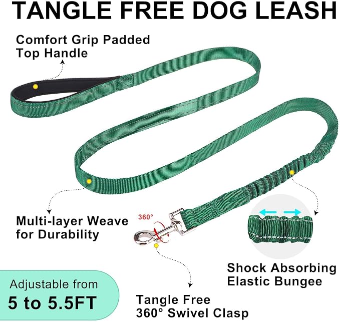 BEAUTYZOO Dog Harness Medium Sized and Leash Set, No Pull Step in Pet Vest | Breathable Mesh with Handle, Reflective, Adjustable No Choke Escape Proof, Lightweight, Easy Control for Walking, Green M - Image 8