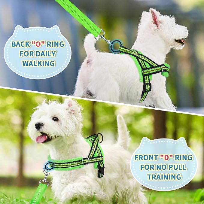 Lukovee Soft Padded Small Dog Harness (X-Small, Green) with 4ft Lightweight Leash, Adjustable Reflective Vest for Walking, Running, Hiking, Training | Both Neck & Chest Adjustable, Reflective, Puppy Harness with 4ft Lightweight Anti-Twist Dog Leash for... - Image 7