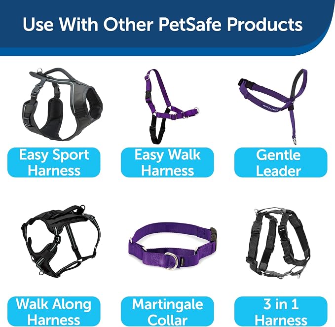 PetSafe Nylon Dog Leash - Strong, Durable, Traditional Style Leash with Easy to Use Bolt Snap - 1 in. x 6 ft., Deep Purple | Durable Nylon Leash with Easy on/off Bolt Snap Hook, Pairs Perfectly with Easy Walk Harness and Gentle Leader Headcollar - Image 6