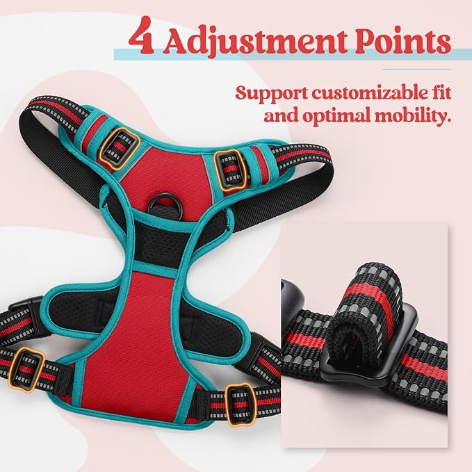 rabbitgoo Dog Harness, No Pull for Small Dogs with 2 Leash Clips, Pet Vest | No Choke with Handle, Adjustable Soft Padded, Reflective, Easy Control for Walking, Red & Teal, Small - Image 4
