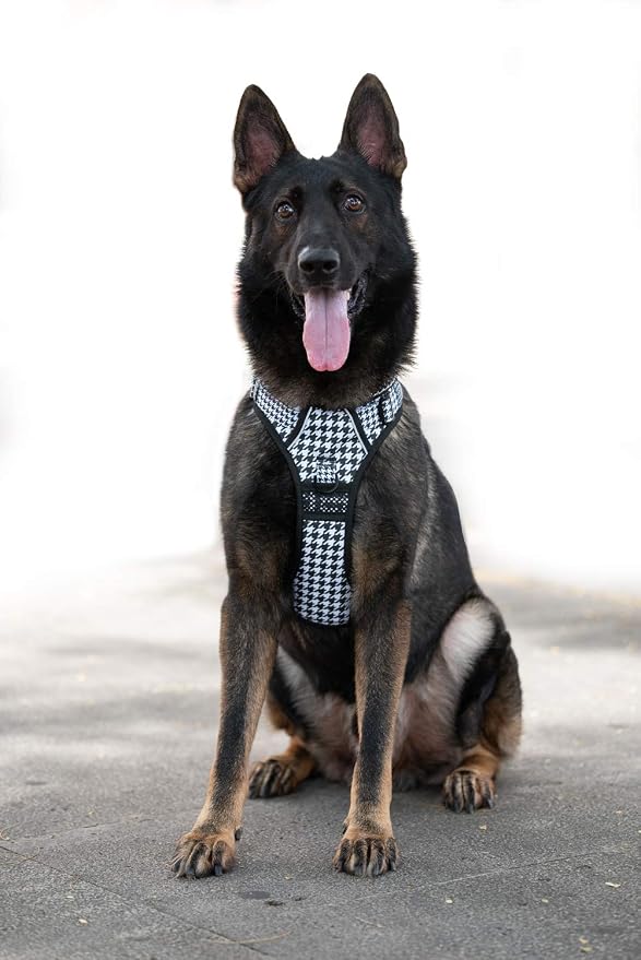 PoyPet Plaid Dog Harness Large, No Pull Vest with Front Clip & Neck Buckle | Padded Handle, Reflective, No Choke, Lockable, 2 Leash Rings, Full Adjustable, for Training Walking, XL, Houndstooth - Image 2