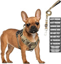 Tactical Service Dog Vest and Leash Set with 10 Patches Camo S | Adjustable No Pull Service Dog Harness for Small Sized Dog with Dog Seat Belt,Reflective Easy Walk for Training Hiking by MOOGROUPETSFRIEND