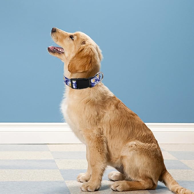 Reflective Dog Collar, Adjustable Neoprene Padded,Small Daisies Blue,M | Breathable Nylon for Medium Dogs,Tear-Resistant Webbing,Chafe‑Free on Walks and Hikes,Metal D-Ring,Night Safety - Image 2