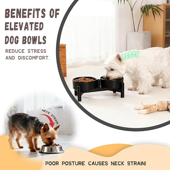 Raised Ceramic Dog Bowl Set with Stand, 1.6 Cups Elevated Dog Food Stand | 5.1'' Double Dog Food and Water Bowl Set, Non-Slip Dog Feeding Dishes for Small Breeds and Cats, 10.8 OZ, Green - Image 7