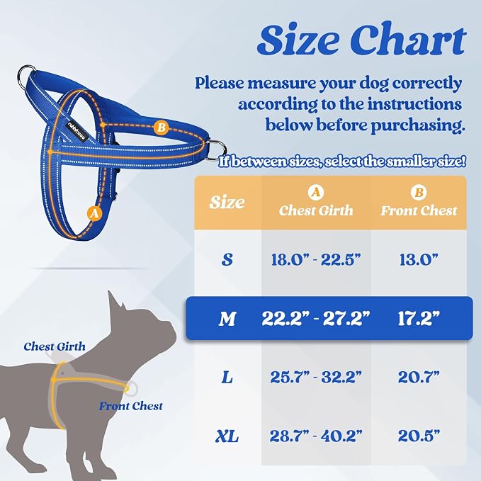 rabbitgoo Dog Harness No Pull, Quick Fit for Medium Sized Dog, Reflective | Chest Adjustable Pet Vest with Soft Padded Handle, No Choke Escape Proof for Walking Training, Blue M - Image 2