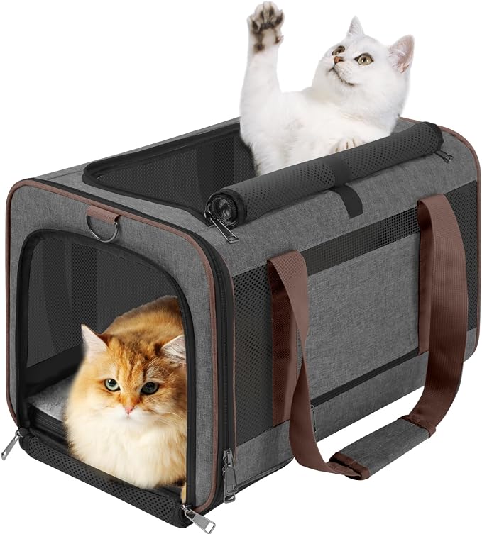 GAPZER Large Cat Carrier Soft, Collapsible Travel Pet Carry Bag, Small Dogs | Large Kitty Cat 20 lbs Maine Coon, Top Load Transport Small Puppy Dog Kennel, Yorkie Little Dog 10lbs, Ventilation Brown by GAPZER