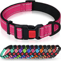 Taglory Reflective Dog Collar for Puppies, Gentle and Safe for Night Walks | Night-Walk Visibility, Soft Neck Cushioning, Adjustable 8-12 in, Locking Buckle, D-Ring for Leash and ID Tags by Taglory