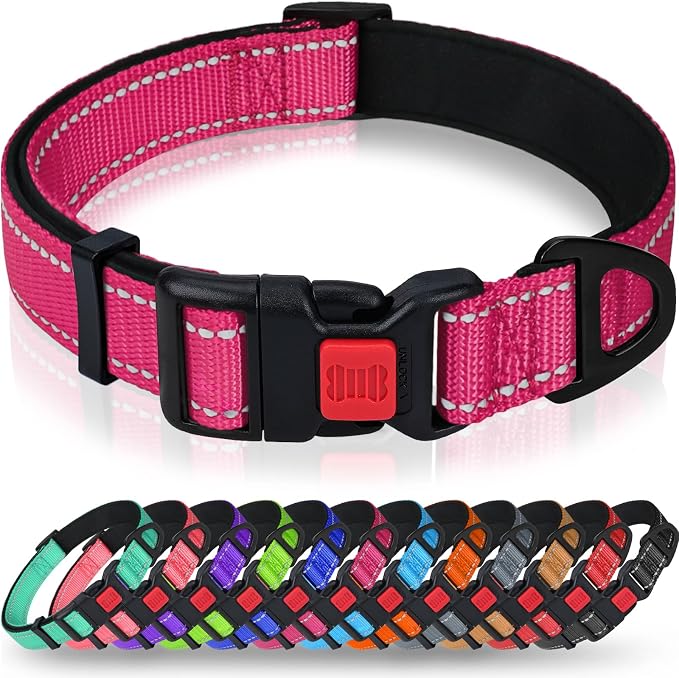 Taglory Reflective Dog Collar for Large Dogs, Comfort for Safe Night Walks | Soft Neck Cushioning, Adjustable 16-24 in, Sturdy Webbing Withstands Strong Pullers, Zinc Alloy D-Ring for Leash and ID Tags by Taglory