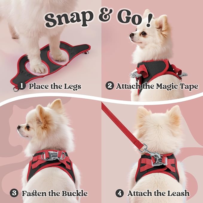 rabbitgoo Dog Harness Small Sized and Leash Set, Step in Soft Vest | Breathable Mesh, Easy Wear with Hook & Loop, Light and Reflective for Walking, Multi-colored, Black & Red, XS - Image 2