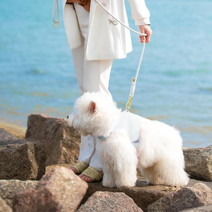5FT Dog Leash 5/16 inch Puppy Cat Rope Lead | Light Blue, with Anti-tangle Swivel Clip, Comfortable Non-slip Grip Handle, Ideal for Daily Walks, for Small Medium Dogs - Image 8