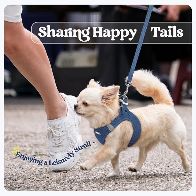 rabbitgoo Dog Harness Small Sized and Leash Set, Step-in Puppy Pet Vest | Light, Soft, Breathable Air Mesh, Easy on and Remove with Hook & Loop, Secure Reflective for Walking, Navy Blue XS - Image 9
