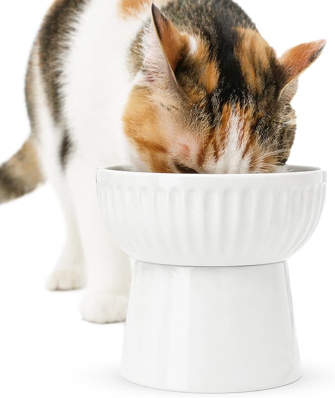 SunGrow Ceramic Cat Bowl with Stand, Suitable Eating Height for Pets, Raised Food Bowl, Mealtime for Your Cats, Stoneware Feeding Station - Image 2