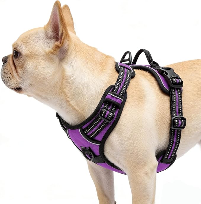 Purple No-Pull Dog Harness with 2 Leash Clips，Soft Padded Vest for Medium Dog, Adjustable Reflective Dog Vest Easy to Put on and Take Off, (Neck: 14"~20", Chest: 21"~27", Purple M) - Image 4