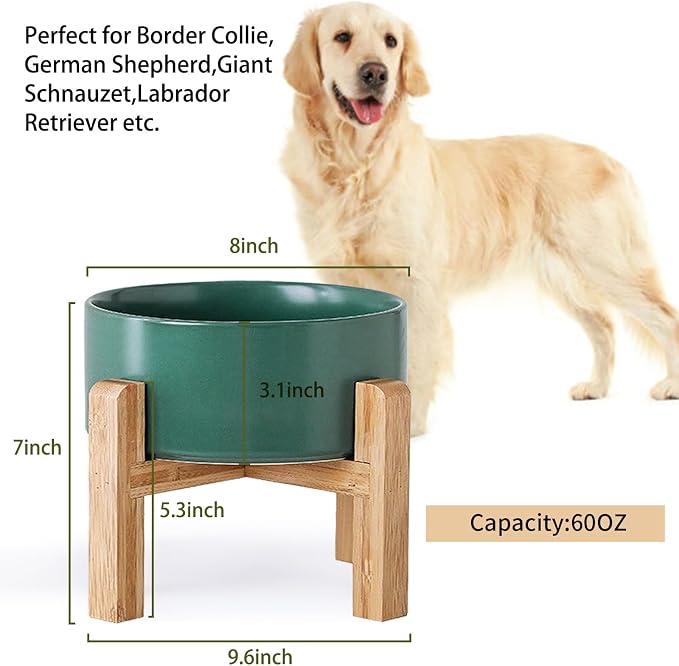Petygooing Green Elevated/Raised Ceramic Dog Bowl for Medium and Large Breeds, Dog Food Water Dish with Stand,Pet Feeding Bowl with Anti Slip Rubber Large Dogs(1800ml 7.6 Cups) - Image 3