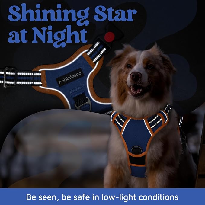 rabbitgoo Dog Harness for Large, No Pull 3 Buckles Easy On & Off | Soft Padded, Walking with Control Handle, Adjustable and Reflective, Royal Blue & Orange, Large - Image 6