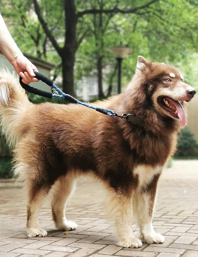 Short Dog Leash 18 Inch Rope Traffic Lead with Padded Handle | 1.5FT Lead 1/2” Strong Nylon Tab for Medium Large Dogs Training Walking (Blue) - Image 6