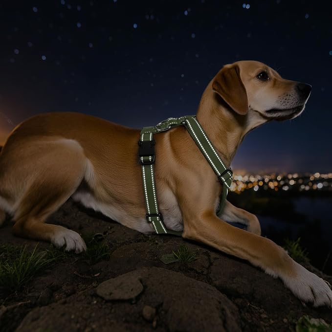 VavoPaw Dog Seat Belt Vest Harness for Car, 2 in 1 Seatbelt Buckle | Breathable Mesh, Adjustable Buckle, Reflective Straps, Heavy Duty Pet Safety Seat Belts for Small Medium Large,Army Green, XL - Image 6